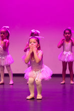 Load image into Gallery viewer, Combination Classes