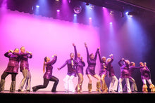 Load image into Gallery viewer, Adult Classes
