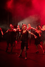 Load image into Gallery viewer, Adult Classes
